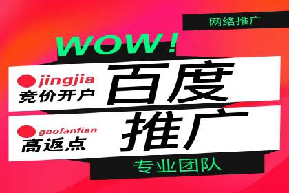 百度竞价账户托管成功案例，揭秘广告投放秘诀